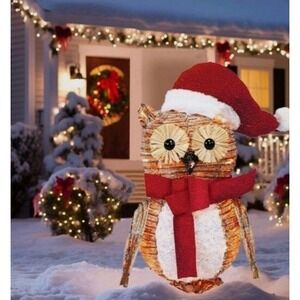 Holiday Living 20-in LED Rattan Owl with Santa Hat Christmas Yard Decoration NEW